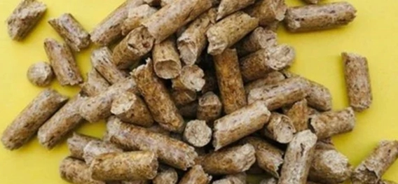 Biomass Pellet Burner Manufacturers in subdomain